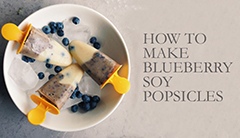 Blueberry Soy Popsicles