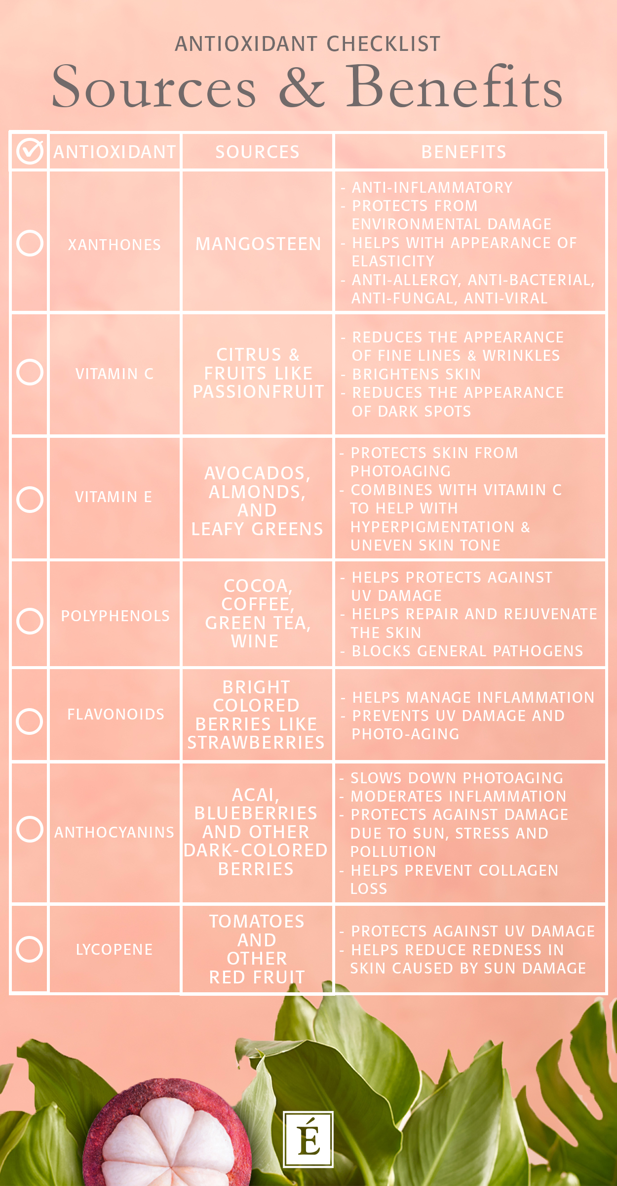 Antioxidant sources and benefits infographic