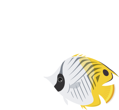 fish graphic