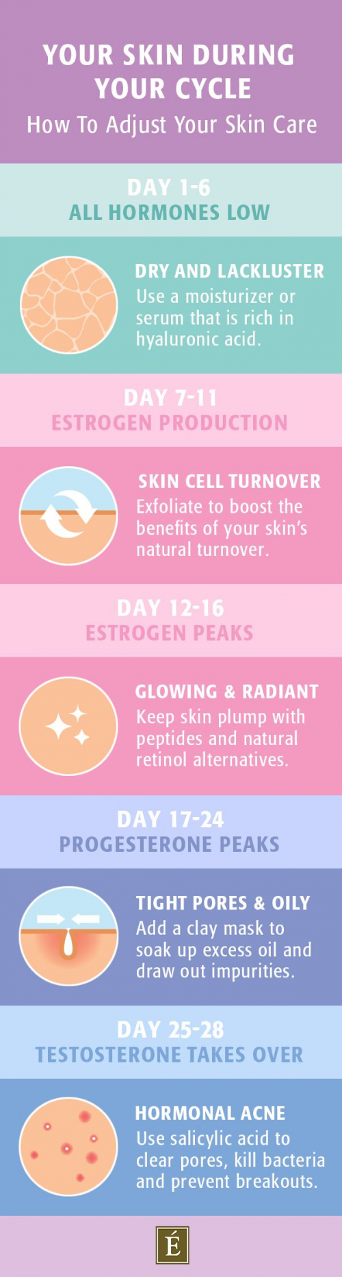 skin care during your monthly cycle diagram infographic