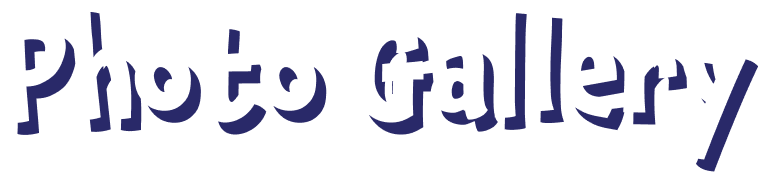 Photo Gallery