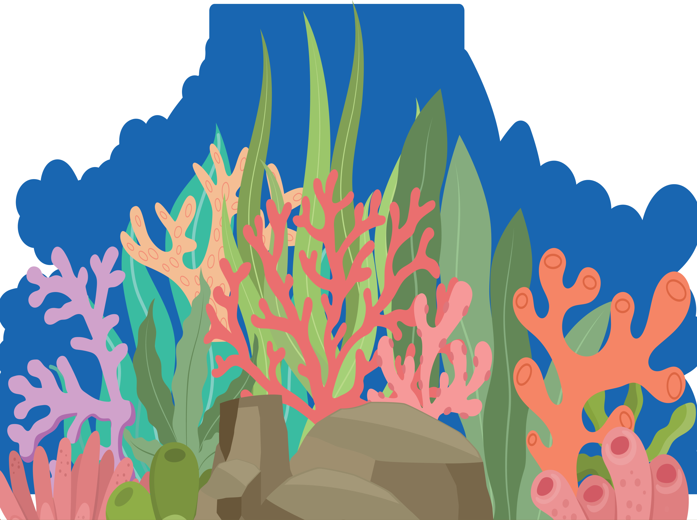Coral Reef