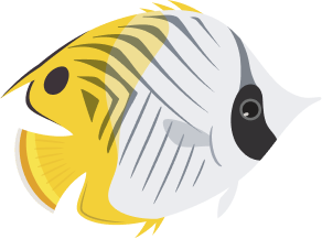 fish graphic