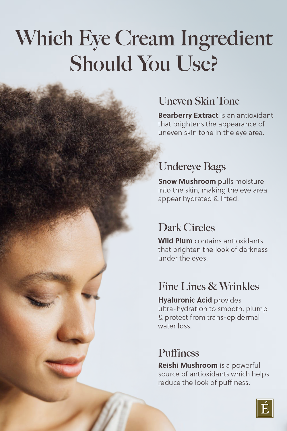 Infographic explaining different ingredients