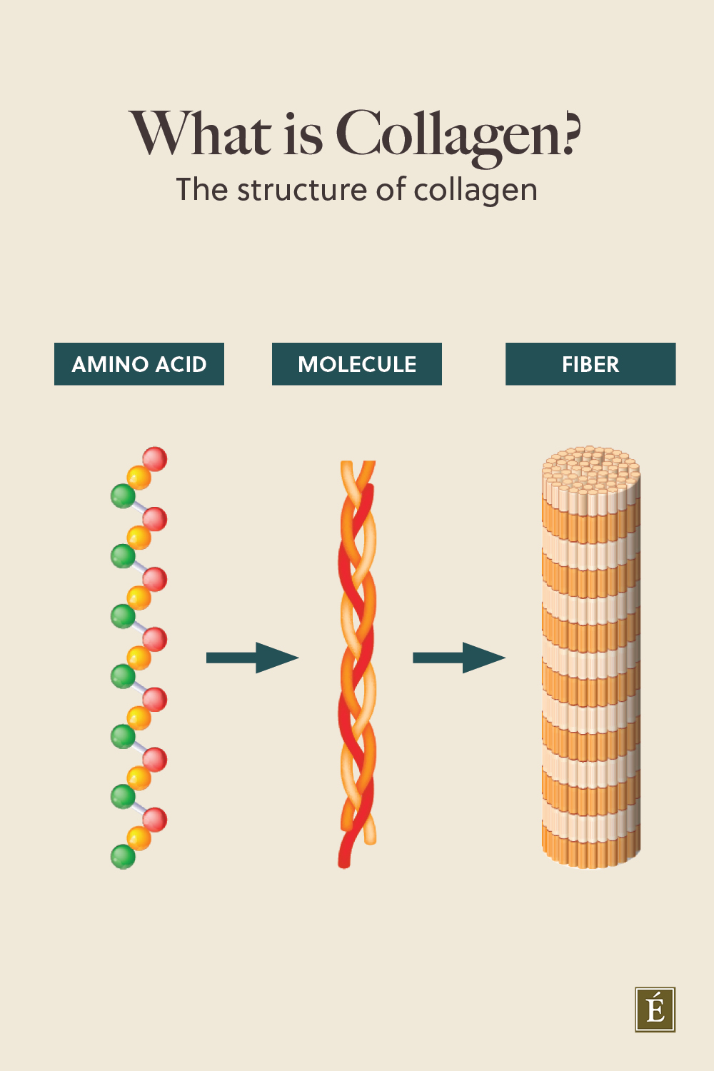collagen