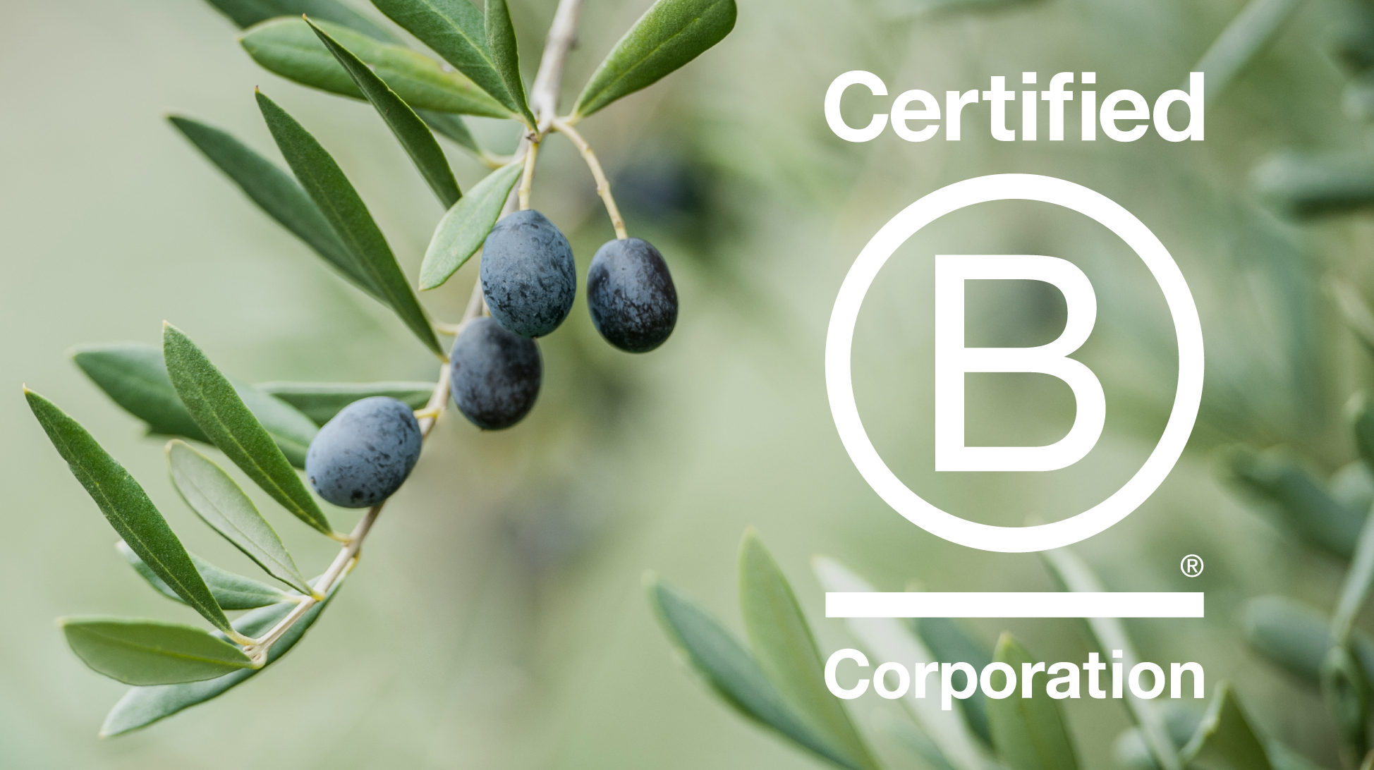 Passion That's More Than Skin Deep