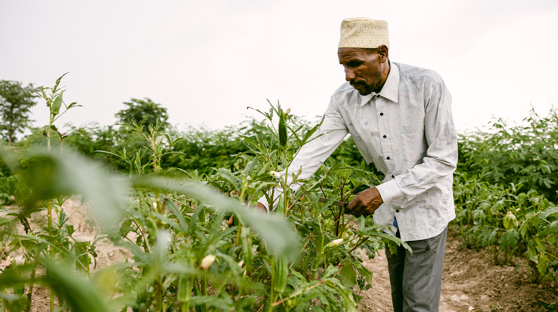Organic Skin Care Pioneers
