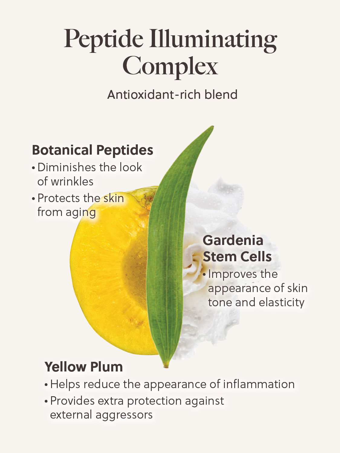 peptide illuminating complex