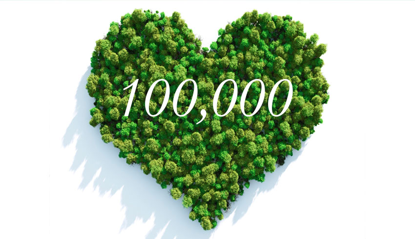 A birds-eye-view of a tree canopy shaped into a heart with one hundred thousand written over top. 
