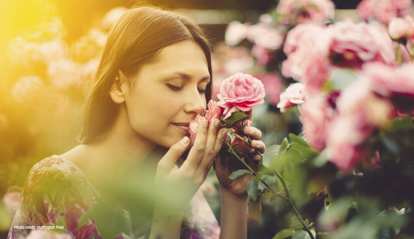 woman smelling a pink roses