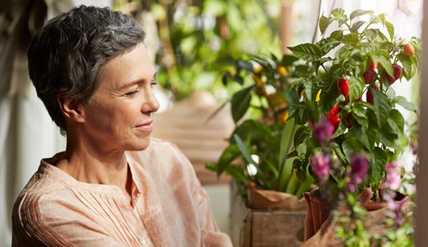A mature woman looks at a potted vegetable plant she holds in her hands. 