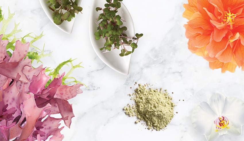 Algae, microgreens, a Tahitian Gardenia and a Hibiscus bloom displayed on a white marble surface. 