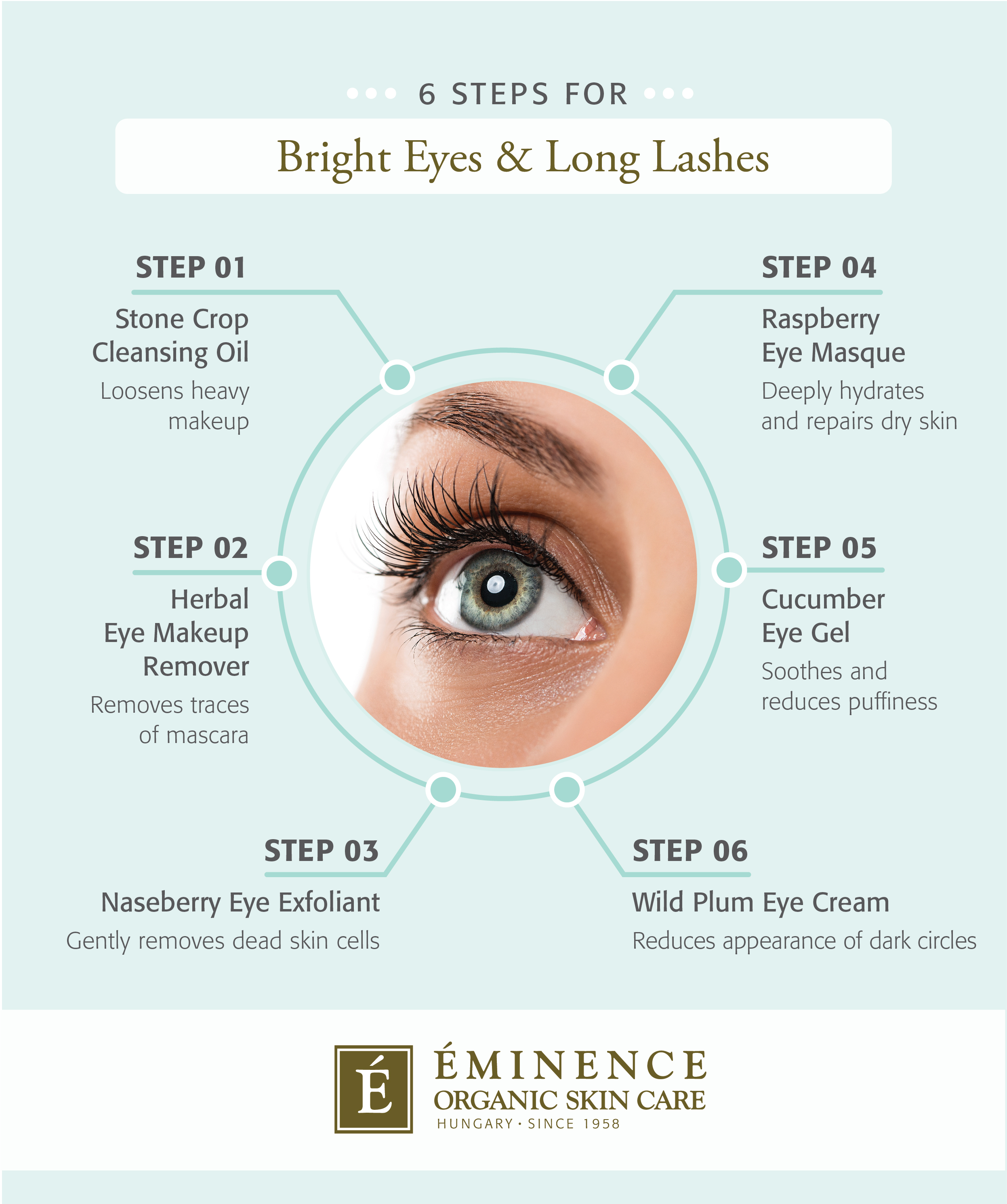 Eminence Organics 6 Steps for Bright Eyes and Long Lashes Infographic