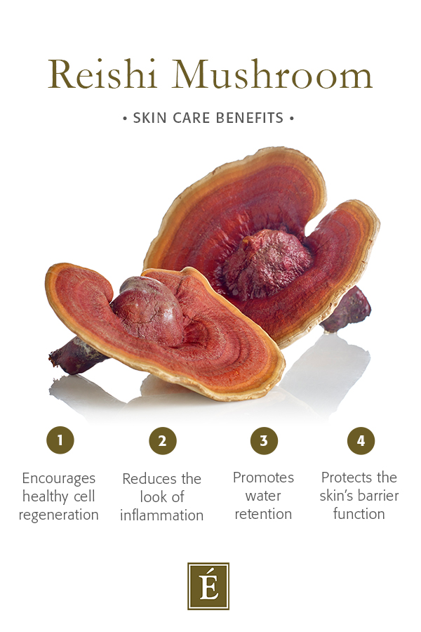 Infographic: Reishi Mushroom Skin Care Benefits