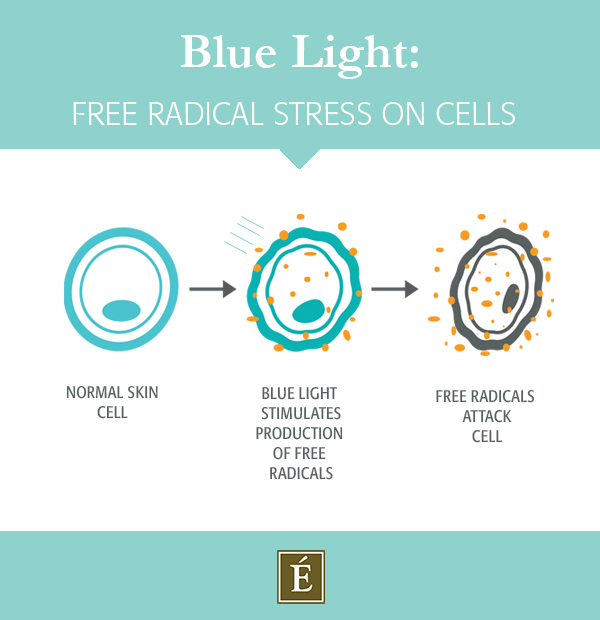 Infographic of blue light stimulated free radicals attacking a skin cell