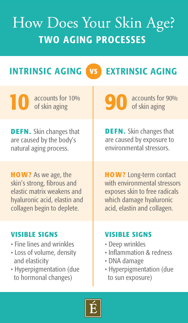 intrinsic vs extrinsic aging infographic
