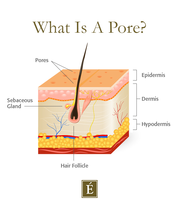 pore cross-section