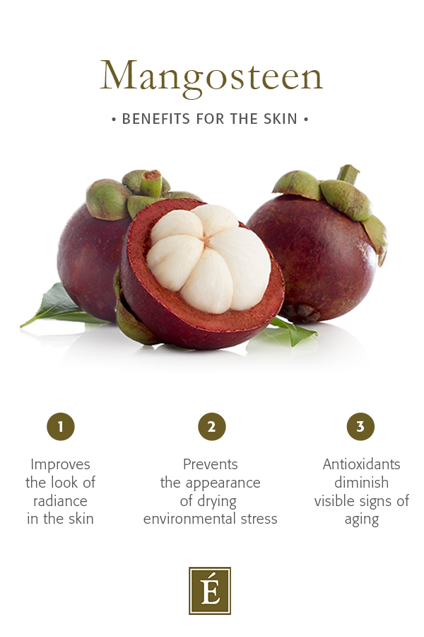 Mangosteen benefits for your skin infographic