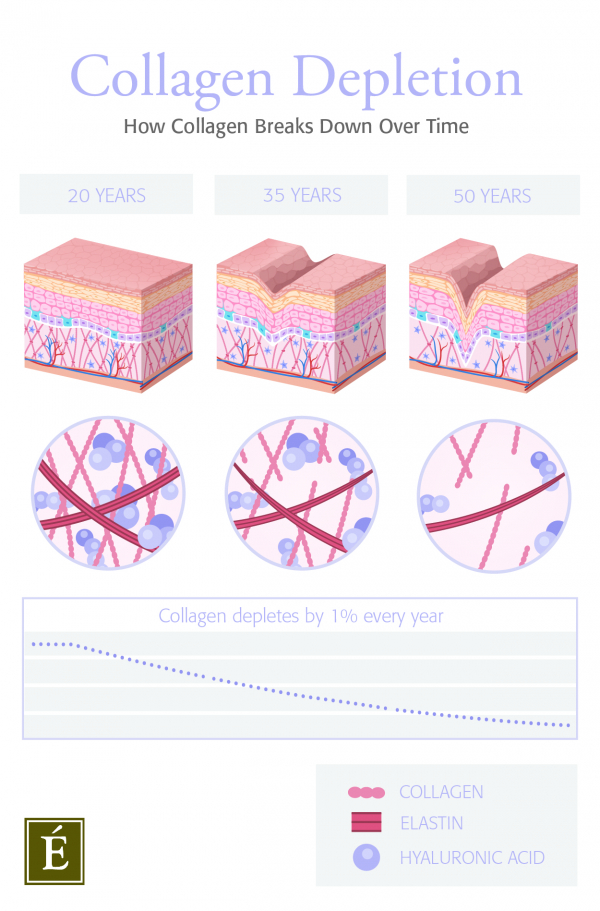 collagen depletion infographic