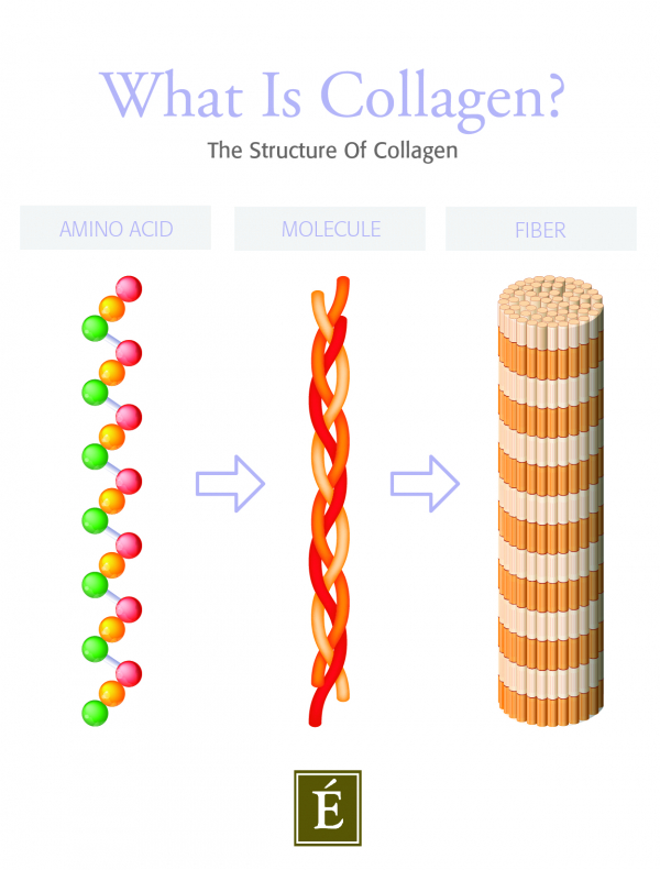 collagen structure graphic