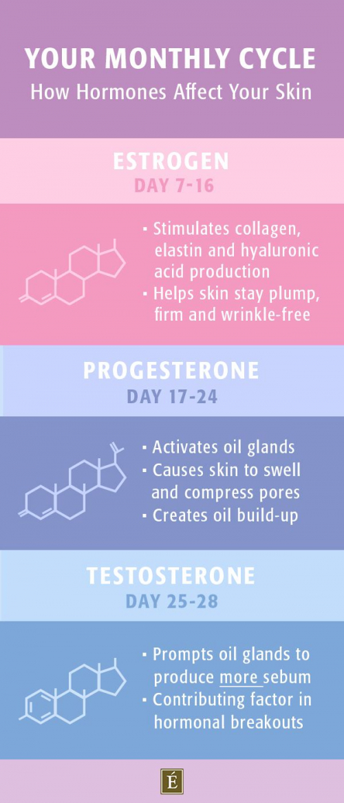 how hormones affect your skin diagram