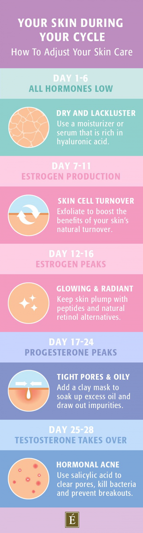 skin care during your monthly cycle diagram