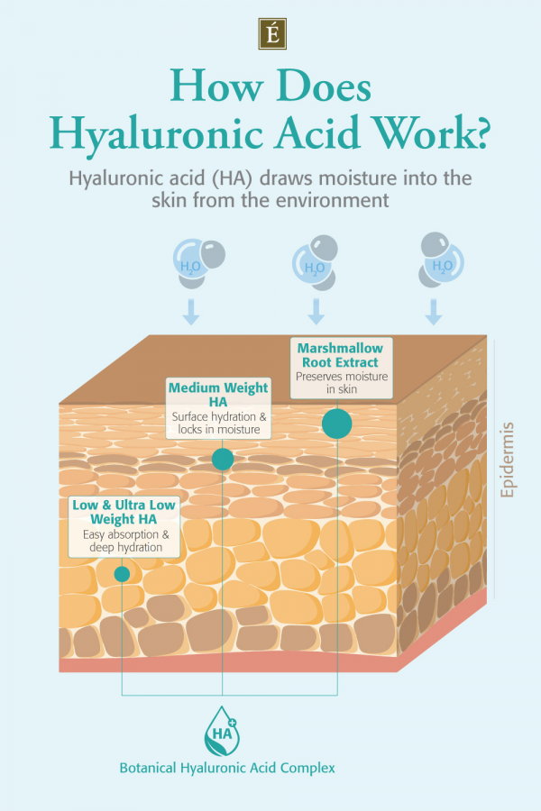 The Complete Guide to Hyaluronic Acid | Eminence Organic Skin Care