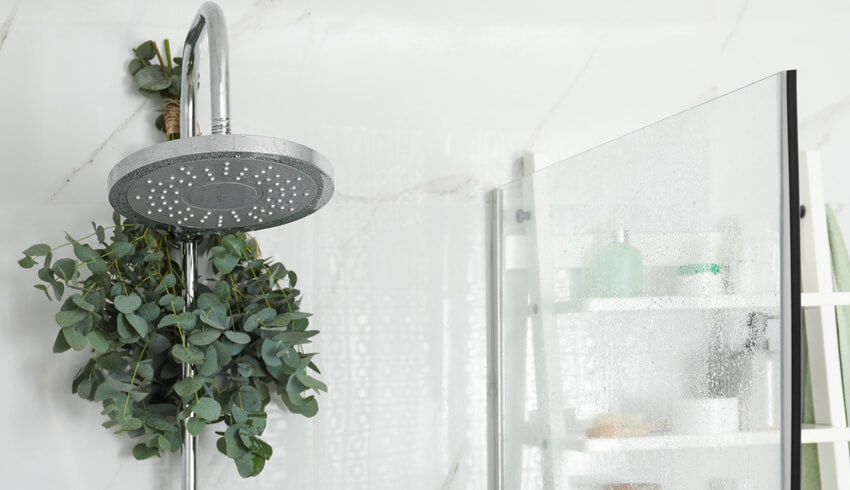 Ultimate Guide To The Eco-Friendly Everything Shower