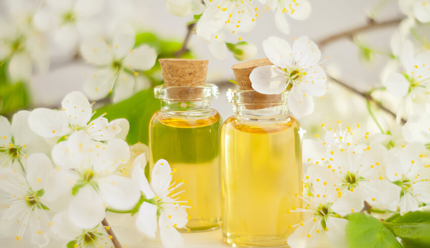 Top floral Essential Oils for your Skin