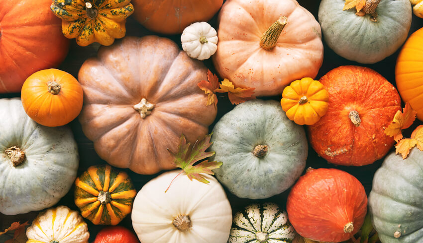 vision Fader fage Vores firma What Are The Benefits Of Pumpkin Face Masks? | Eminence Organic Skin Care